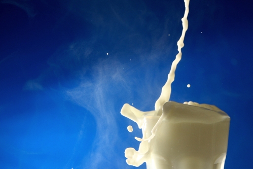 Тренды молочного рынка